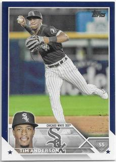 Tim Anderson