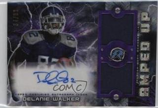 Delanie Walker