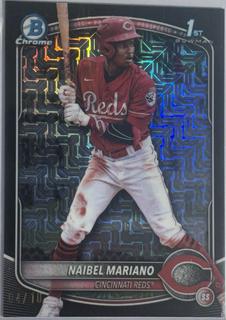 Naibel Mariano