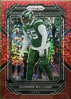 Quinnen Williams