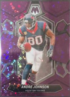 Andre Johnson