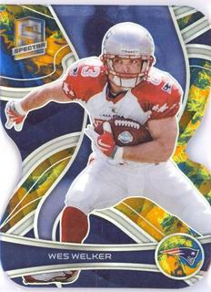 Wes Welker