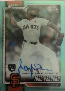 Joel Peguero