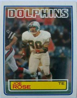 Joe Rose