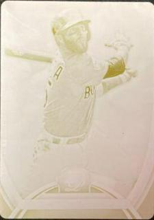 Dustin Pedroia