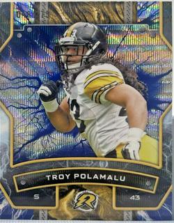 Troy Polamalu