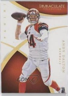 Andy Dalton