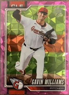 Gavin Williams