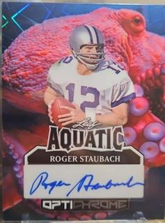 Roger Staubach