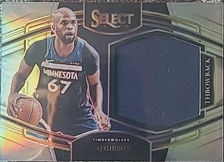 Taj Gibson