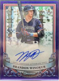 Brandon Winokur