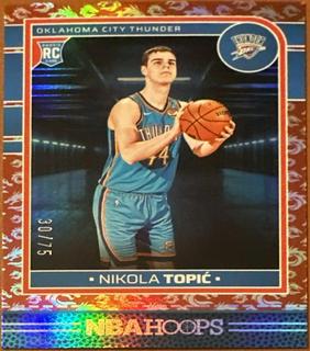 Nikola Topic