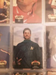 Vince Horsman