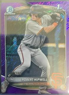 Robert Hipwell