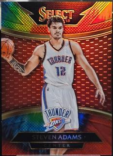 Steven Adams