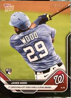 James Wood