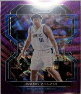 Wang Zhi-zhi