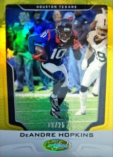 DeAndre Hopkins
