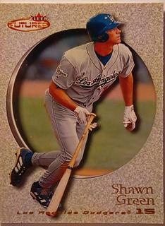 Shawn Green