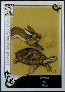 Tortoise vs. The Hare