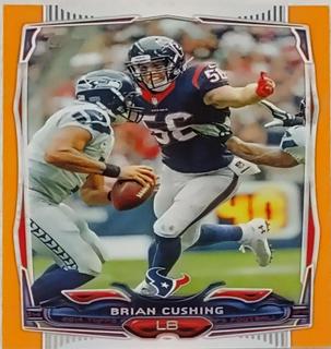 Brian Cushing