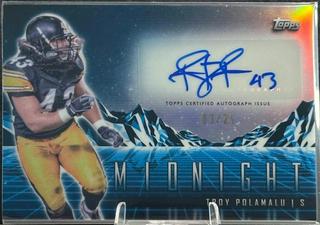 Troy Polamalu