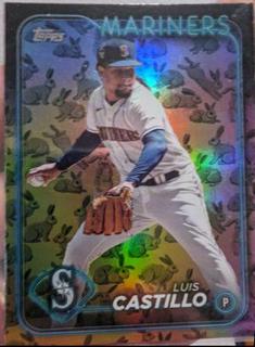 Luis Castillo