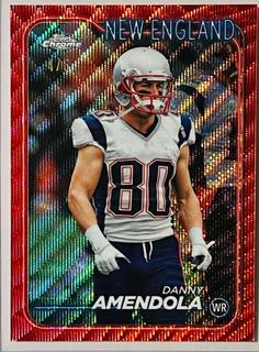 Danny Amendola