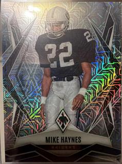 Mike Haynes