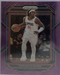 Terance Mann
