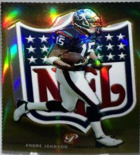 Andre Johnson