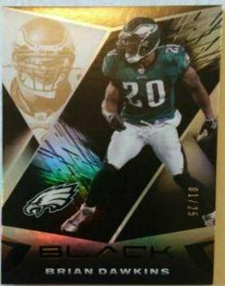 Brian Dawkins