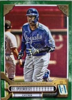 Salvador Perez