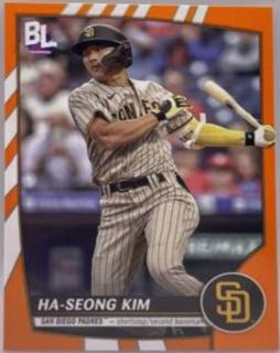 Ha Seong Kim