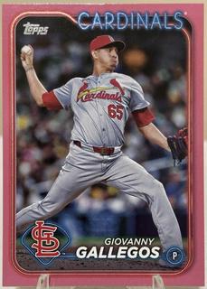 Giovanny Gallegos