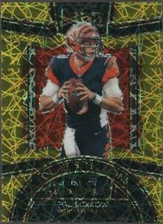 Joe Burrow