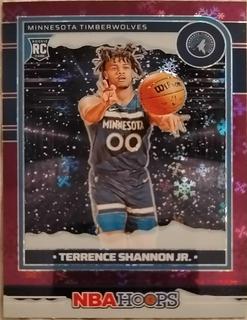 Terrence Shannon Jr.