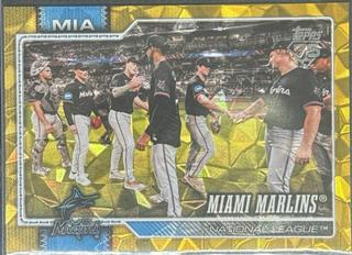 Team Card
