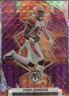 Chad Johnson