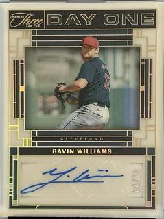 Gavin Williams