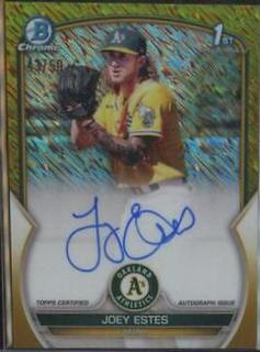 Joey Estes