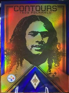 Troy Polamalu