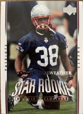 Brandon Meriweather #241