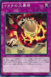 Ferret Flames CORE-JP077