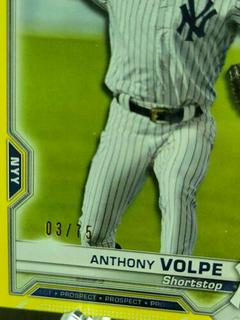Anthony Volpe