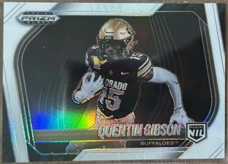 Quentin Gibson