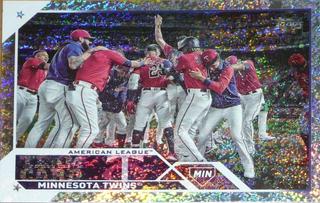 Minnesota Twins