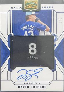 David Shields