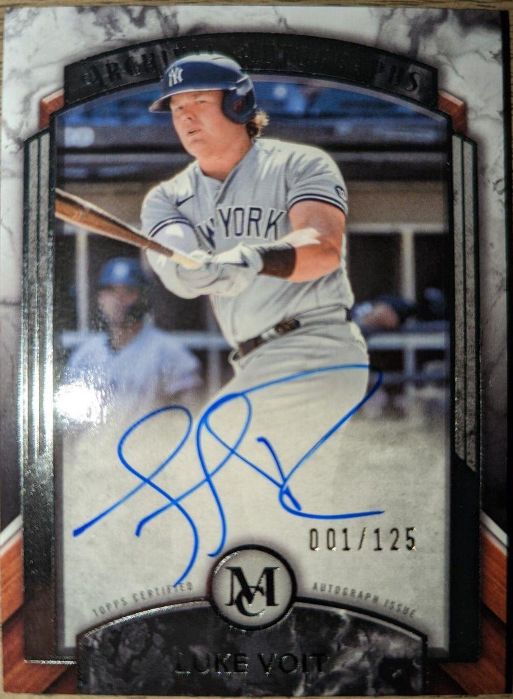 Luke Voit #AA-LV