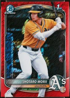 Shotaro Morii